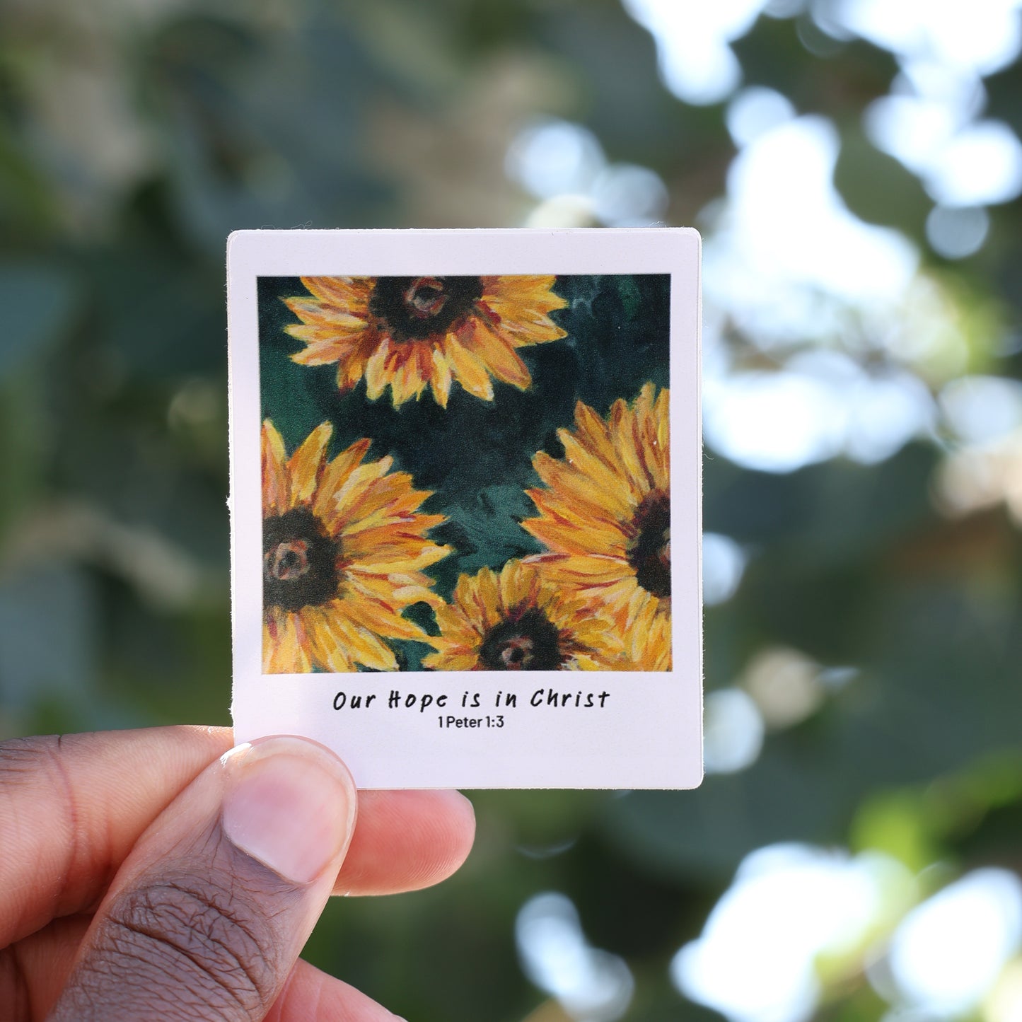 Polaroid Stickers