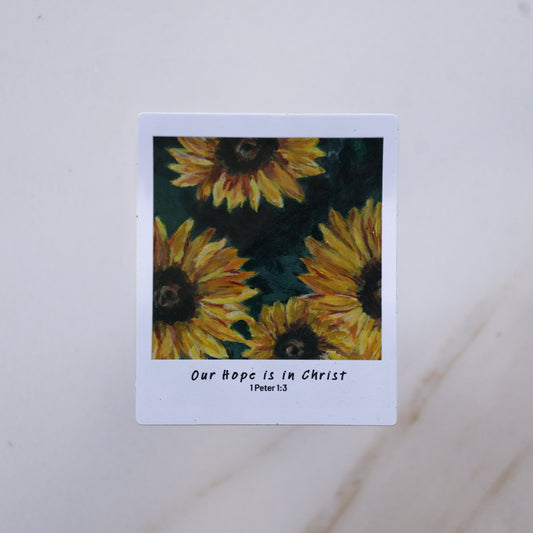 Polaroid Stickers